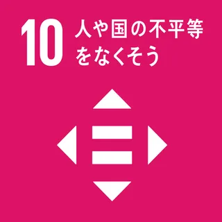 SDGs 10 不平等